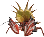 Daimyo Hermitaur